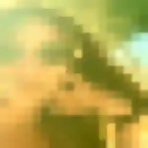 Vicky, 22 ans, cherche un rencontre coquine à Mazan
