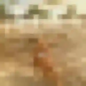 Capucine, 19 ans, veut un rencontre coquine à Miribel