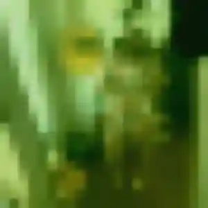Rym, 33 ans, connectée à Missillac pour une rencontre coquine
