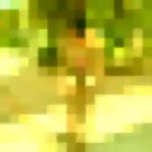 Profil de Germaine à Montévrain (43 ans) - rencontre coquine gratuit