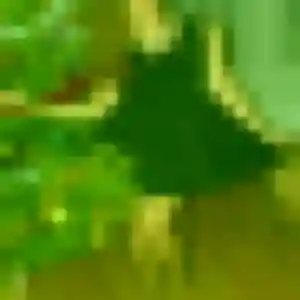 Photo de Karima à Montluçon (34 ans) - rencontre coquine discret