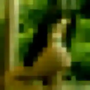 Vinciane de Montrouge, 40 ans - rencontre coquine sans prise de tête