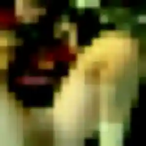 Samantha, 32 ans, connectée à Muret pour un rencontre coquine