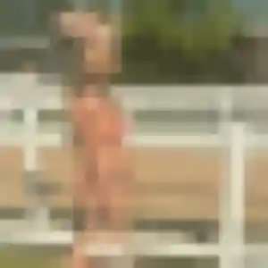 Photo sexy de Jessica, 29 ans à Noisy-le-Sec - rencontre sans lendemain