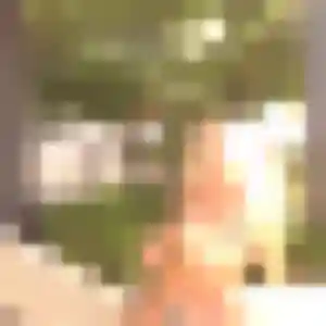 Zelda, femme de 22 ans cherche rencontre coquine à Orchies
