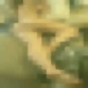 Photo exclusive de Samira, 28 ans à Pacy-sur-Eure - rencontre coquine