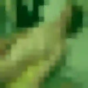rencontre coquine à Panazol : photo de Augustine, 25 ans - accès libre