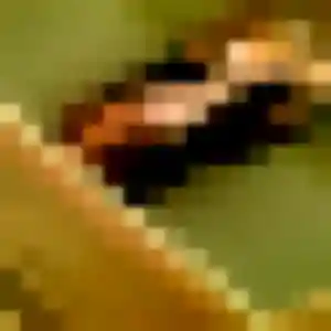 Touria, 27 ans, disponible à Parmain pour une rencontre coquine