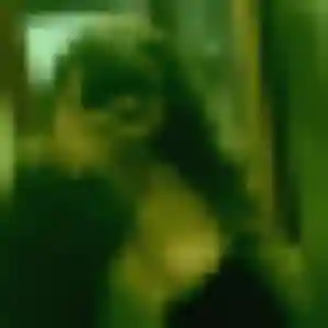 Contacte Zineb, 28 ans à Pauillac en t'inscrivant