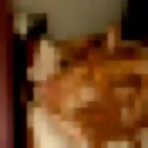 Vera, 34 ans, en ligne à Périgny pour une rencontre coquine
