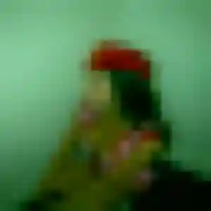 Alice, fille de 32 ans cherche rencontre coquine à Ploudalmézeau