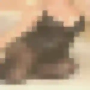 Delice, 43 ans, dispo pour rencontre coquine à Plouzané