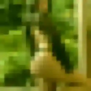 Flore de Pointe-à-Pitre, 44 ans - rencontre coquine discret