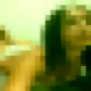 Garance de Pointe-à-Pitre, 37 ans - rencontre coquine sans lendemain