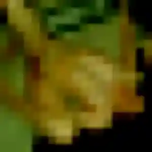Photo exclusive de Janine, 22 ans à Pontchâteau - plan discret