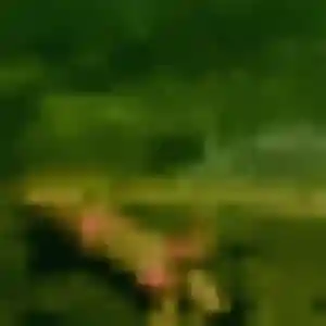 Profil de Gilberte à Pordic (30 ans) - rencontre coquine discret