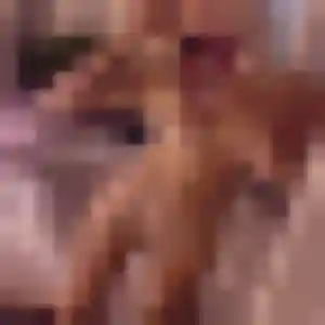 Belle Siham, 33 ans à Rennes - la contacter