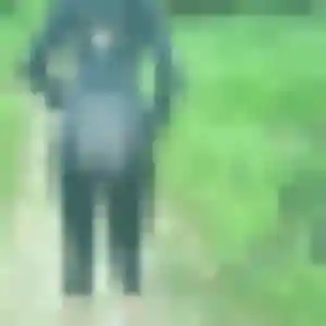 Photo exclusive de Priscilla, 31 ans à Romainville - rencontre coquine