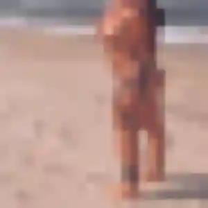 Adele, 36 ans, dispo pour rencontre coquine à Saint-Jean-de-Luz