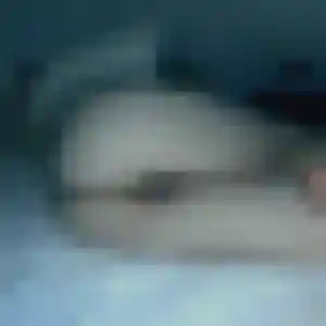 Adeline, 20 ans, dispo pour rencontre coquine à Saint-Joseph