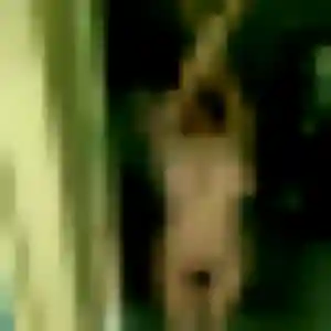 Dorothee, 30 ans, dispo pour rencontre coquine à Saint-Laurent-du-Maroni