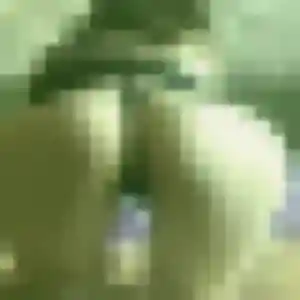 Josephine, 42 ans, dispo pour rencontre coquine à Saint-Orens-de-Gameville