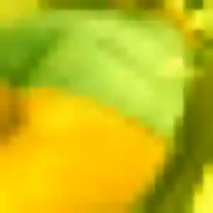 Delphine, femme de 31 ans propose rencontre coquine à Saint-Zacharie