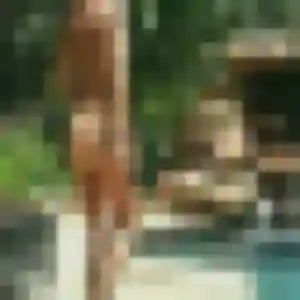 Belle Jessica, 43 ans à Sainte-Livrade-sur-Lot - la contacter