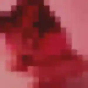 Noemie, 21 ans, en ligne à Sainte-Marie pour une rencontre coquine