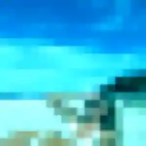 Photo exclusive de Zelda, 27 ans à Sainte-Maxime - rencontre sans lendemain
