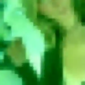 Belle Wanda, 23 ans à Sarrebourg - la contacter