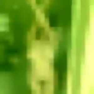 Roxane, fille de 41 ans cherche rencontre coquine à Sury-le-Comtal