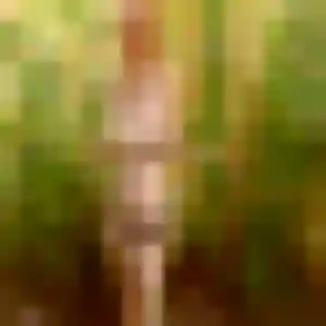 Profil de Roxane à Tain-l'Hermitage (22 ans) - rencontre coquine anonyme