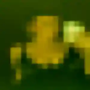 Photo perso de Madeleine, 21 ans à Tonneins - rencontre coquine