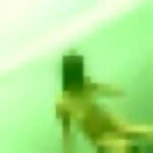 rencontre coquine à Tours : photo de Berenice, 37 ans - sans engagement