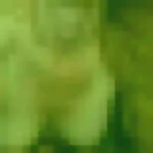 Charmante Sylvie, 39 ans à Vallet - voir sa photo