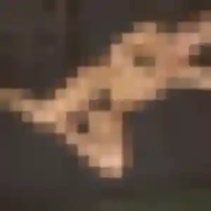 Cyrielle, 39 ans, disponible à Vandœuvre-lès-Nancy pour une rencontre coquine