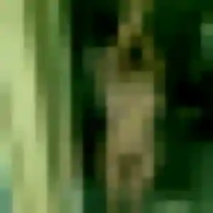 Sofia, 37 ans, veut un rencontre coquine à Vence