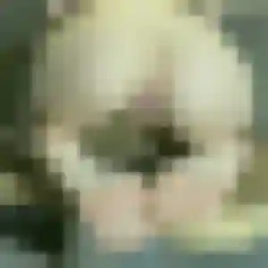Ava, 38 ans, cherche un rencontre coquine à Vezin-le-Coquet