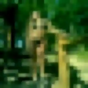 Photo privée de Elena, 29 ans à Viarmes - rencontre sans lendemain