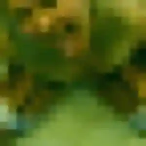 Profil de Edith à Vigneux-de-Bretagne (37 ans) - rencontre coquine sans inscription