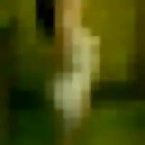 Photo privée de Typhaine, 27 ans à Villers-Cotterêts - rencontre coquine