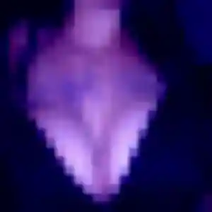 rencontre coquine à Wingles : photo de Natacha, 40 ans - inscription gratuite