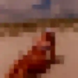 Brune, femme de 30 ans veut rencontre coquine à Wintzenheim