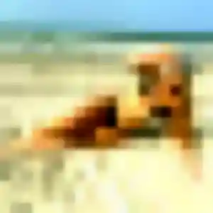 Fleur, 20 ans, cherche un rencontre coquine à Wormhout